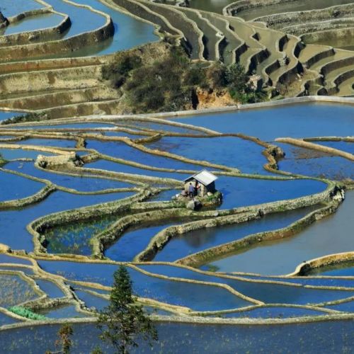 【冯仁丰】蛋白质标准化：免疫散射比浊和/或免疫透射比浊检测方法的最佳化 1 ...