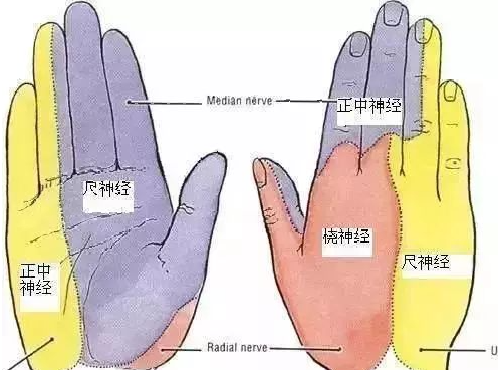 动脉采血想要一针见血？总结4大要点