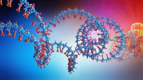 分子｜如何修复实时PCR中的软件设置错误？