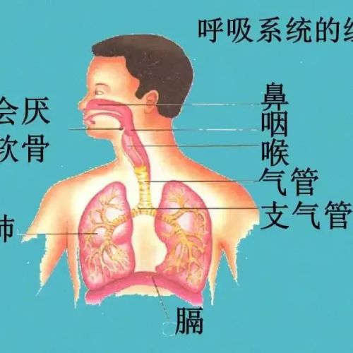 疫情到底进展到什么程度了？