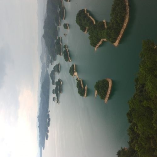 血氧仪，卖断货了