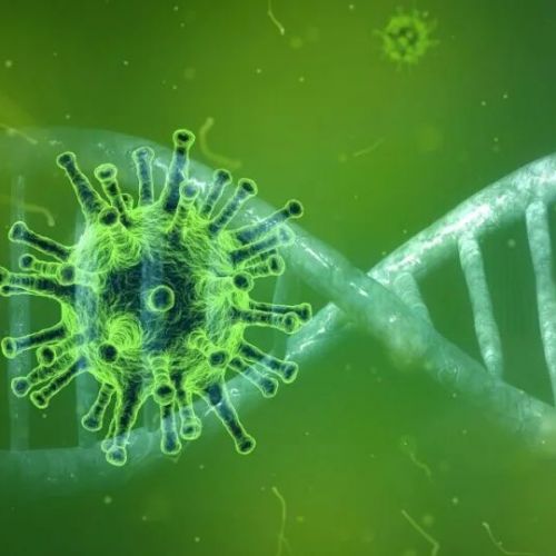 初次感染新冠后，重复感染的概率有多大？NEJM论文给出答案
