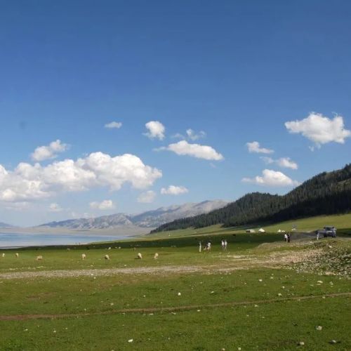 【冯仁丰】我对临床实验室测量（检测）不确定度认识1 国际上测量不确定度定义的变化 ...