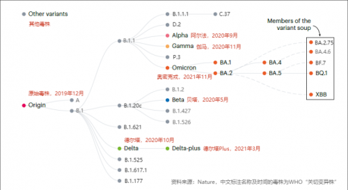 3年拥有2000多亚变体！扒一扒新冠大家族族谱