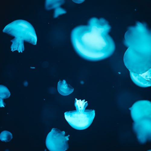 新冠感染诊疗需要做哪些实验室检测？？