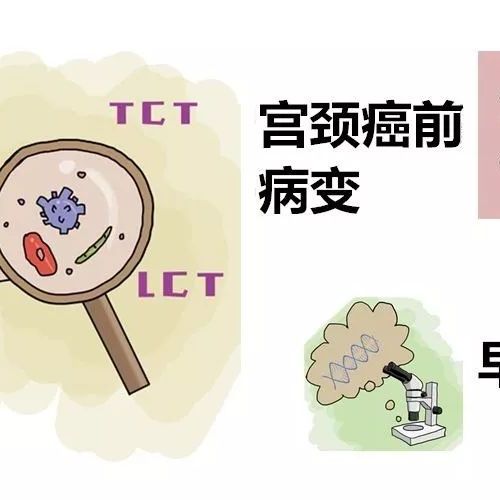 看了这篇文章，自己也能读懂HPV检测报告