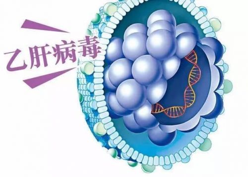高敏、普敏乙肝病毒DNA(HBV DNA)定量检测的区别
