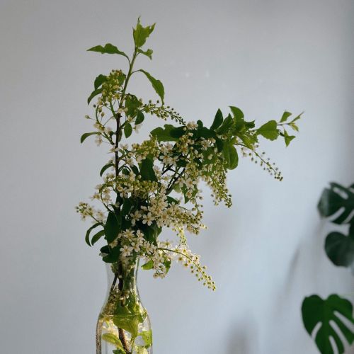 M蛋白的检测与鉴定
