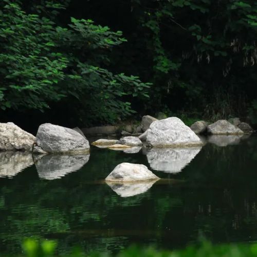 【冯仁丰】实现参考物质互换性的研讨