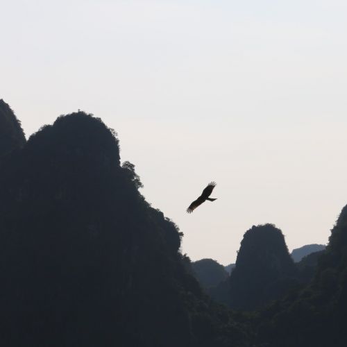 极易漏诊的血液病