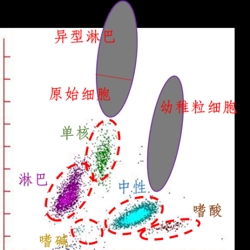 血常规散点图和直方图不会看？1 分钟看懂 12 种异常结果
