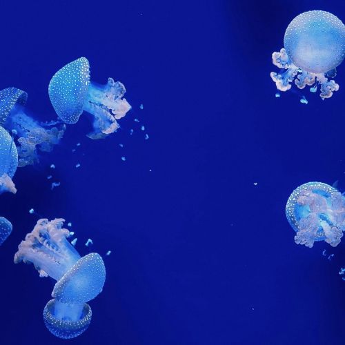 风湿全套实验室检测及临床意义