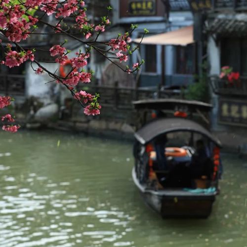 【冯仁丰】临床检验的互换性评估应该怎么做？ 4