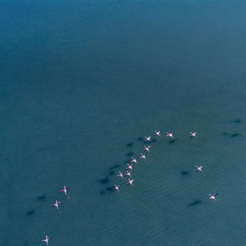 又有“小三”大闹检验科！？这一次究竟该如何是好
