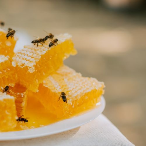 原始细胞3%的急性髓系白血病？让我们一探究竟…
