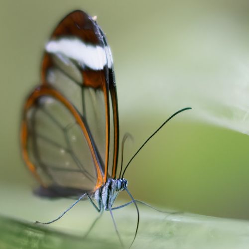 年年体检，检对了吗？新版《健康体检共识》教你制定规范、标准体检方案！ ...