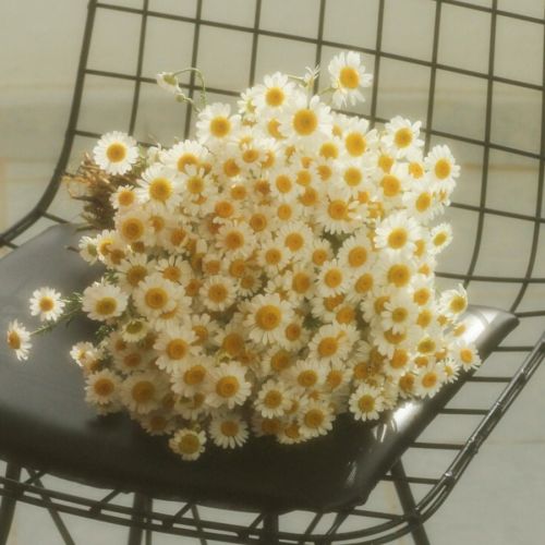 粪便标本细菌涂片检查