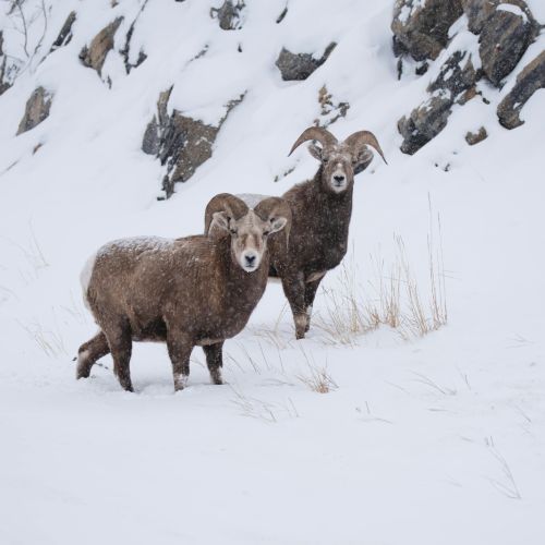 针刺伤后，她选择流产！职业暴露的背后，隐藏了多少绝望…… ...