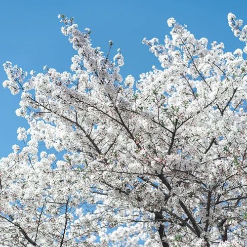 【冯仁丰】分析检验结果的标准化和协调一致性 1