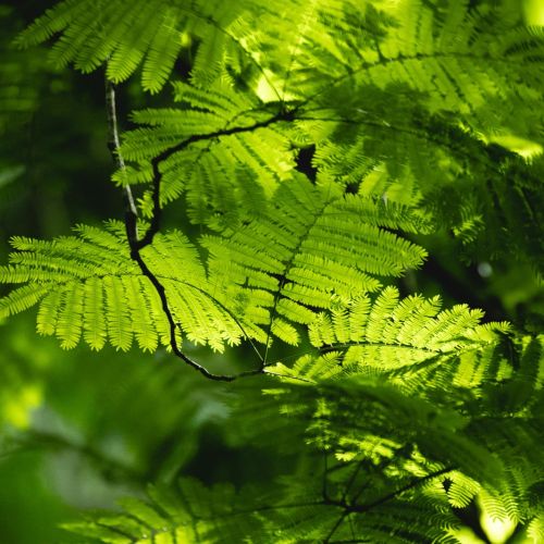 卫健委鼓励医护做兼职，不是让你去摆摊、送外卖