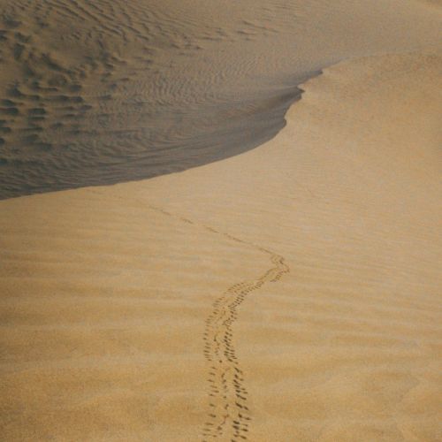 胎儿检出“超雄综合征”，网友规劝打掉！真的存在恶魔基因？ ...