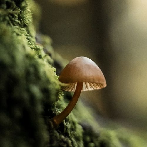赔偿16万！这起关于危急值的医疗纠纷，为检验人敲响了警钟