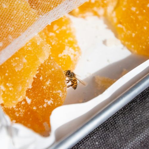 一例可疑地贫结果的分析