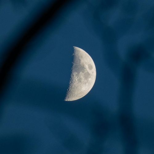 真假Topo Ⅰ 型