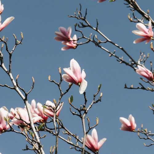 检验结果遭临床“质疑”，她的性激素六项究竟怎么了？