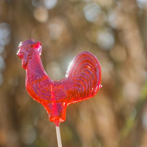 探究！42℃温浴能否纠正高效价冷凝集素血常规样本