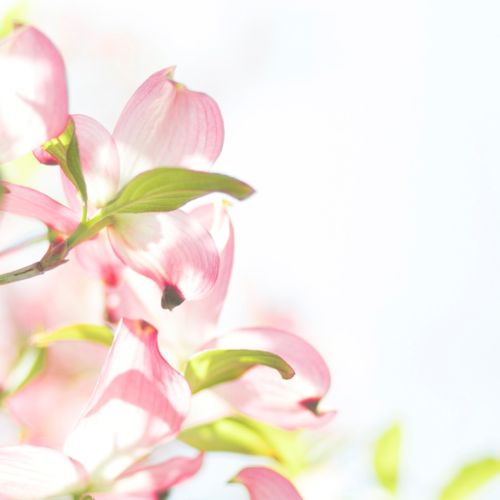 来自21个科室的新年创意祝福语