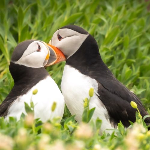 国家医保局点名通报！倒查三年，这类检验违规问题开启全面严查 ...