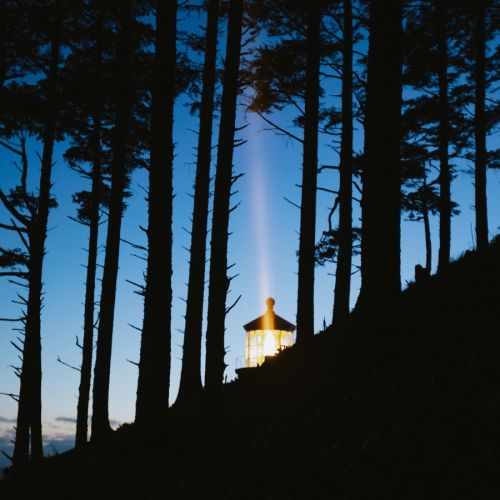 Y染色体微缺失遗传筛查专家建议（2025年）