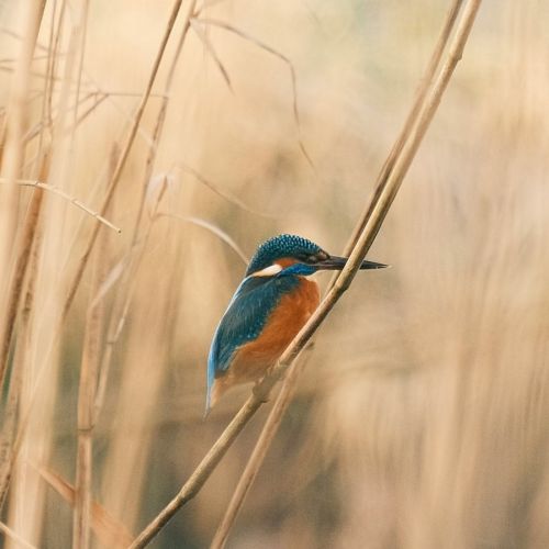事关医护薪酬！官方：三级医院暂停门诊医保报销，逐步取消普通门诊 ...