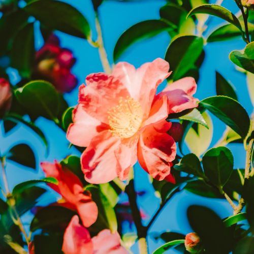 卫健委重磅新规，医技可以转执业医了？附具体实现路径