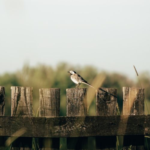突发！涉嫌违规，检验科大面积退费，最少的仅3分钱