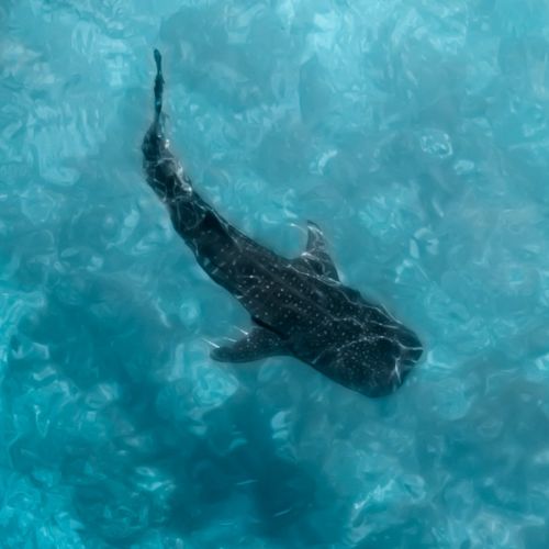 倒查近10年！6名医务人员被撤销职称，检验人需警惕