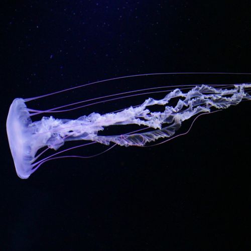 检验科被吊销！卫健局通报，检验人需警惕！