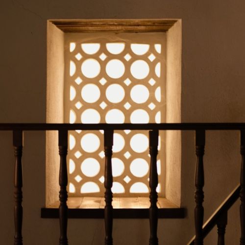 移植患者皮肤“异变”！镜检“镰刀”疑云起，质谱“枝顶孢”现真身 ...