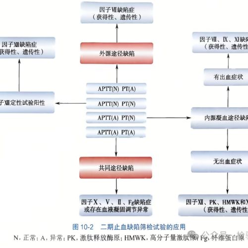 凝血因子活性检测的临床意义