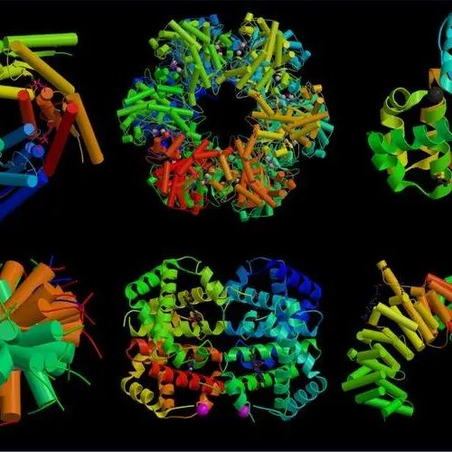 一文读懂微量白蛋白和尿蛋白区别