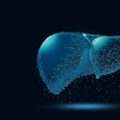 乙肝病毒(HBV)DNA定量检查的作用及意义