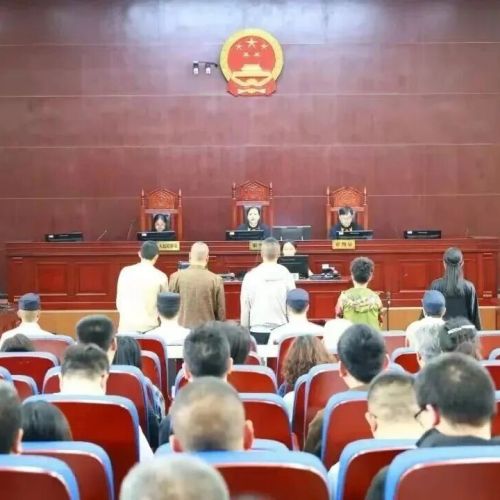 让每一份检验报告都经得起法律与良知的双重检验