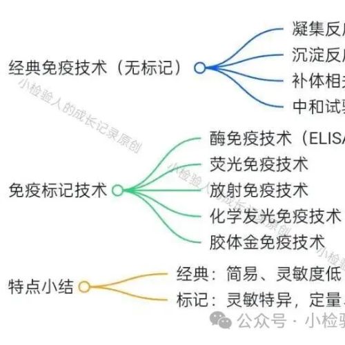 吃透这门课！临床免疫检验核心知识全貌