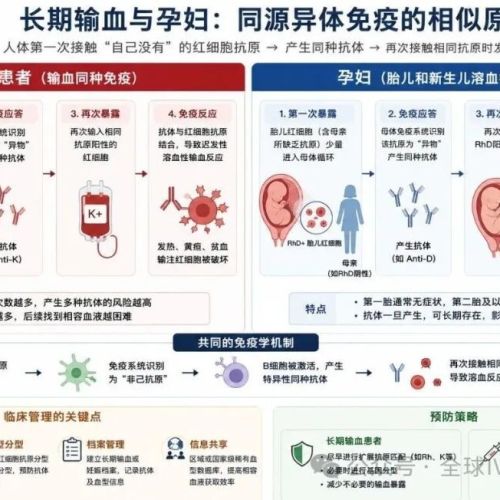 同样是输血，为什么中国和欧美却发展出了两套完全不同的体系？ ...