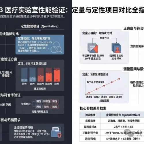 一张图讲清定量与定性性能验证比较